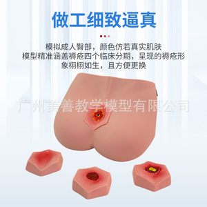 แบบจำลองการฝึกดูแลแผลกดทับตามขั้นตอน 4 ขั้น และแบบฝึกสอนสำหรับการสอนการดูแลผู้สูงอายุ - Product Image 2