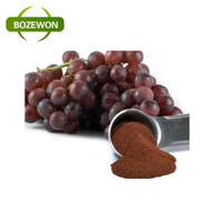 Extrait de pépins de raisin naturel pur à 95 % en poudre, proanthocyanidine, polyphénols, antioxydant, fourni par l'usine