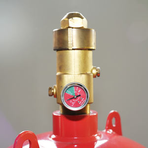 Zhishun GQQ100/2.5-XF Factory 100L Extincteur automatique à gaz HFC-227ea Armoire unique avec classe ABC - Product Image 3