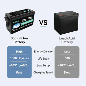 Batteria agli Ioni di Sodio 12V, Batterie Ricaricabili 48V 200Ah, Batteria ad Alto Ciclo di Vita, Ioni di Sodio 100Ah - Product Image 4
