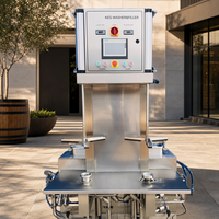 Machine de lavage et de remplissage de fûts Tonsen haute efficacité 1 tête 2 têtes, système de nettoyage et de remplissage de fûts de bière