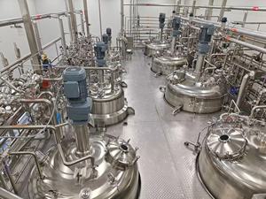 Biorreactor para tratamiento de aguas residuales, fabricantes de biorreactores de acero inoxidable, biorreactor a gran escala, - Product Image 4