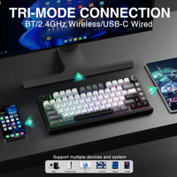 Clavier de jeu AULA F75 HE 75% Layout 80 touches, tri-mode, à effet Hall, 8000Hz, batterie rechargeable 4000mAh, sans fil