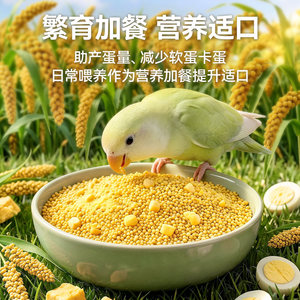 Aliment pour oiseaux Parrot Millet 454g, nourriture nutritive pour l'élevage des budgés et des cockatiels - Product Image 1