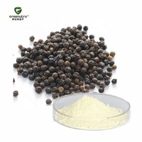 Zwarte peperzaadextract 95% Piperine poeder Natuurlijke bio- Beschikbaarheidverhoger Voedingssupplement Drum Gezondheidsvoeding Kwaliteit