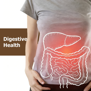 Wholesale Custom Psyllium Husk Powder Capsules Nourish Gut Microbiome Healthcare Products Fiber <b>Supplement</b> - Product Image 4