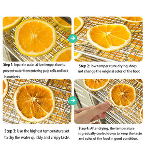 Desidratador Solar de Frutas e Vegetais à Venda, Máquina de Secagem de Frutas e Vegetais - Product Image 6