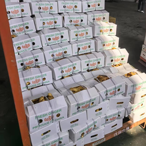 Baixo Preço 2025 Nova Safra Gengibre Fresco Chinês de Alta Qualidade Fornecimento a Granel de Raiz de Gengibre - Product Image 1