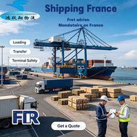 Agente de envío Francia Transporte marítimo Dunkerque Puerto de Marsella Fos Envío internacional Agente de envío urgente Camión de envío