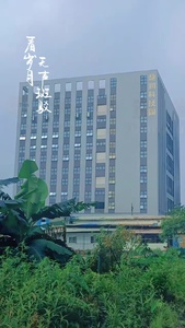 Nueva placa de inducción de acero inoxidable de 2 quemadores, cocina infrarroja eléctrica comercial para el hogar, Panel de tablero microcristalino holandés - Product Image 4