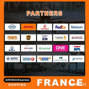 Envío Aéreo Puerta a Puerta desde Shenzhen, China a Polonia, Gran Bretaña, Francia, Estados Unidos, Australia con Doble Despacho de Aduanas e Impuestos Incluidos - Product Image 6