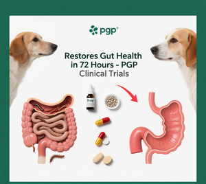 Comprimés <span class=keywords><strong>anti</strong></span>-ver à croquer <span class=keywords><strong>pour</strong></span> chats et chiens Supplément vitaminique sous forme de poudre <span class=keywords><strong>pour</strong></span> animaux de compagnie et soins de santé - Product Image 6