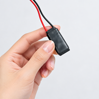 Mini traceur GPS dissimulé PT02, sans carte SIM, anti-brouillage et anti-perte pour le suivi de voitures et d'actifs