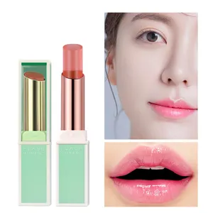 Grosir lipstik warna Jelly transparan perubahan suhu lipstik Matte Set