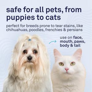 Petpost <span class=keywords><strong>Olio</strong></span> <span class=keywords><strong>di</strong></span> <span class=keywords><strong>Cocco</strong></span> e Aloe <span class=keywords><strong>per</strong></span> la Rimozione delle Macchie <span class=keywords><strong>di</strong></span> Lacrime nei <span class=keywords><strong>Cani</strong></span> |   Detergente delicato <span class=keywords><strong>per</strong></span> gli occhi dei <span class=keywords><strong>cani</strong></span> da 8 once |   Sicuro <span class=keywords><strong>per</strong></span> Razze con Pelliccia Bianca e Rivestimento Leggero | - Product Image 4