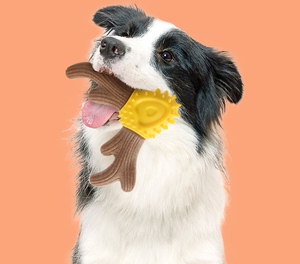 <strong>Wholesale</strong> <strong>Pet</strong> Interactive &amp; Movement <strong>Pet</strong> Dog <strong>Chew</strong> <strong>Toys</strong> Stick Wood-plastic Antler <strong>Durable</strong> and Bite-resistant Teeth Cleaning Stick - Product Image 4