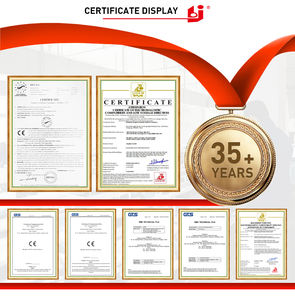 Machine d'emballage sous vide automatique DZ260B certifiée CE pour aliments viande en acier inoxydable - Product Image 4