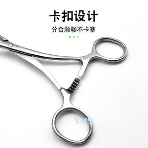 Pinzas de lengua de acero inoxidable Pulun de 17 cm, instrumento dental oral - Product Image 3