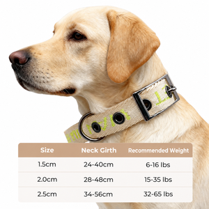 Collier pour chien en sangle jacquard personnalisée, anti-traction, respirant, avec doublure rembourrée, boucle à languette en métal vintage, trous réglables pour animaux de compagnie - Product Image 3