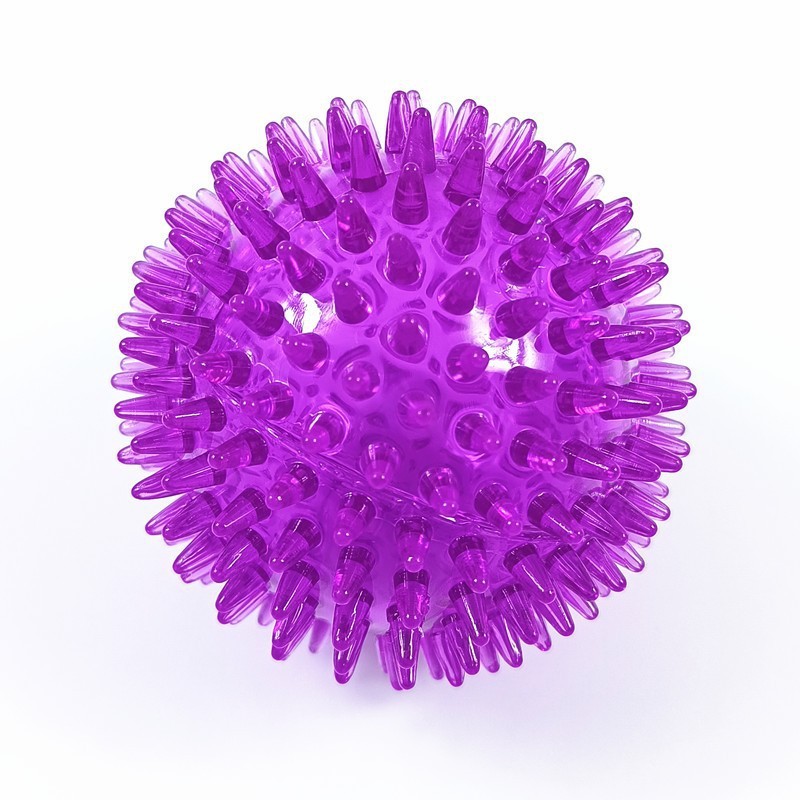 Pourpre