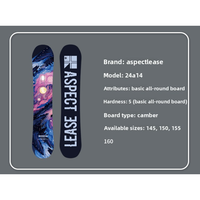 Snowboard personnalisé avec logo, fabrication OEM ODM, usine directe, noyau en bois de peuplier, double pointe, fournisseur professionnel