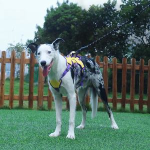 Rarewe produk hewan peliharaan rompi anjing besar Medium memanfaatkan OEM Logo merek kustom reflektif tidak ada tarik tali kekang anjing untuk <span class=keywords><strong>Golden</strong></span> <span class=keywords><strong>Retriever</strong></span> - Product Image 1