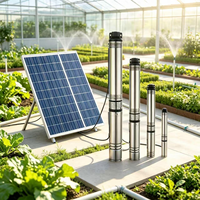 Pompe solaire submersible pour puits profond 2HP/3HP, pompe à eau solaire sans balais 48V/72V pour l'irrigation agricole