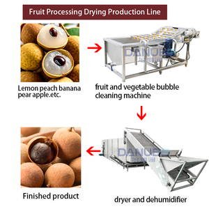 Professional Mesh Belt Dryer Fruit Drying Equipment Longan Drying Machine Longan Cleaning and Drying Production Line - Product Image 2
