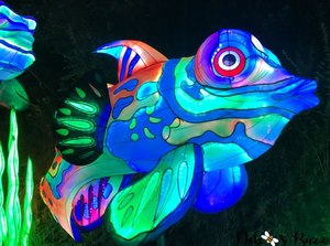 Lanternes géantes LED personnalisées en forme de tortue de mer - Éclairage extérieur imperméable pour festivals et décorations - Product Image 3