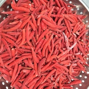 Piments rouges forts surgelés du Vietnam à bon prix aux épices simples en stock pour les acheteurs en gros - Product Image 2