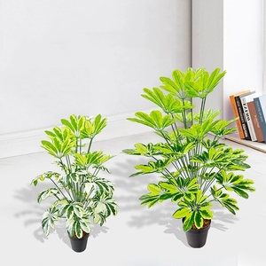 Planta verde en maceta <span class=keywords><strong>de</strong></span> plástico imitación bonsái árbol <span class=keywords><strong>Schefflera</strong></span> grande artificial al por mayor para la decoración del balcón del piso <span class=keywords><strong>de</strong></span> la Oficina <span class=keywords><strong>de</strong></span> la sala <span class=keywords><strong>de</strong></span> estar - Product Image 1
