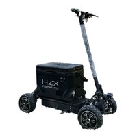 Trottinette Électrique Tout-Terrain pour Pêcheurs, Skateboard Électrique à Quatre Roues pour Camping et Transport de Marchandises, Batterie 1000W 48V21AH, 150kg, 20 km/h