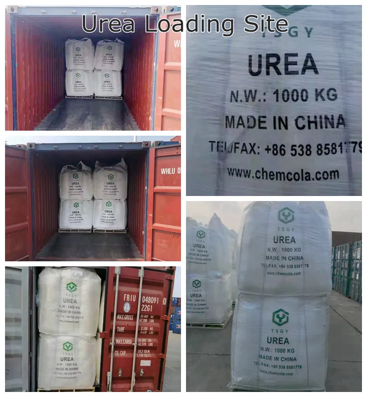 Urea grado tecnico Urea granulare N46 Urea prezzo cina