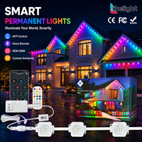Lampu Atap Permanen WS2811 DC36V IP67 RGB 35x30mm SMD5054 LED Pixel Point Light untuk Proyek Pencahayaan Atap Luar Ruangan Villa