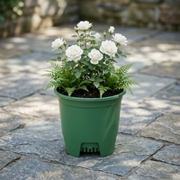 Pots de fleurs en plastique PP en gros avec fond de drainage en maille verte pour succulentes - Jardinières légères et durables pour intérieur/extérieur
