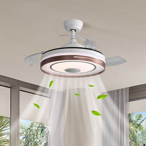Ventilador de Techo Moderno Retráctil de 42 Pulgadas, Ventilador de Techo Invisible con Luz y Control Remoto - Product Image 3