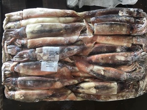 Bán Buôn BQF Hải Sản Đông Lạnh <span class=keywords><strong>Illex</strong></span> Mực Giá Tốt Toàn Bộ Vòng Đông Lạnh Mực - Product Image 3