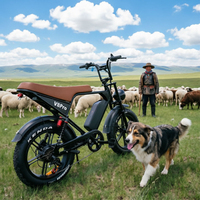 Vélo Électrique Tout-Terrain 20x4 Mini Fat Tire avec Pneus Larges, Moteur 48V 500W 750W, Double Suspension NFC, Idéal Neige et Route, pour Adulte - Vente Chaude Usine
