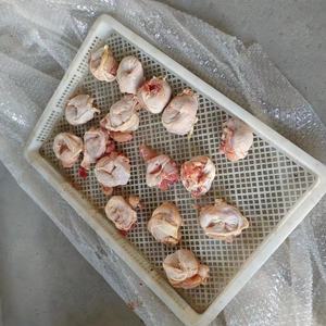 Máquina Deshuesadora de Muslos de Pollo, Máquina Separadora de Carne y Hueso de Muslos de Pollo Deshuesados - Product Image 6