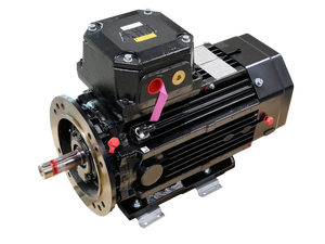 Neuer Original & PLC M3JP 160MLB 2 IMB35/IM2001 EX Elektromotor 15kW 400/690V 2943U/min * Günstiger Preis * Auf Lager - Bestseller - Product Image 4