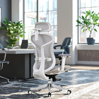 Chaise de bureau ergonomique en maille à dossier moyen, nouveau produit Foshan, avec fonctions réglables, design moderne