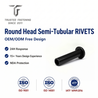 Rivets semi-tubulaires à tête ronde en acier TianFang pour prototypes de liaisons de pompes, finition oxyde noir, outillage personnalisé, dimensions sur mesure