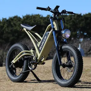 20 pollici e bike 250w può piegare pneumatici grassi/bicicletta elettrica pieghevole/ebike bicicleta electrica plegable sepeda lipat listrik