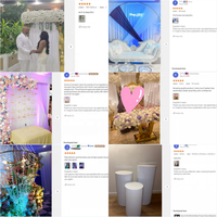 Drone papillon LED en gros - Drone volant RC rechargeable pour la décoration de mariage, les spectacles sur scène, l'éclairage d'événements et de fêtes