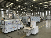 Ligne de production industrielle d'extrusion à double vis pour chips de maïs soufflé, boules de maïs et granulés de maïs