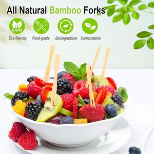 <span class=keywords><strong>Mini</strong></span> brochettes en bambou de 2 pouces pour fruits - Product Image 2