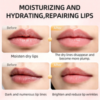 Baume à lèvres hydratant et réparateur pour lèvres sèches et gercées, lissant, repulpant, base de maquillage naturelle longue durée, logo personnalisé