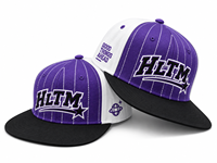 Casquette de baseball unisexe personnalisée en coton brodé en 3D, 6 panneaux, structure plate, réglable, motif léopard sportif