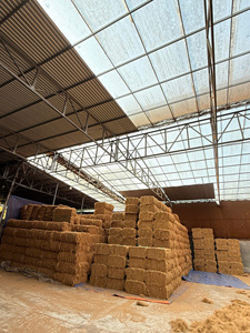 Fardos de Fibra de Coco Marrón Dorado Premium, Material Limpio de Calidad para Muebles, Sofás, Colchones y Horticultura - Product Image 6