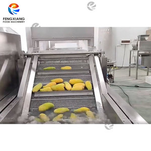 เครื่องลวกมะม่วงอุตสาหกรรม PT-1000 สำหรับการปรับสภาพด้วยน้ำร้อน - Product Image 4